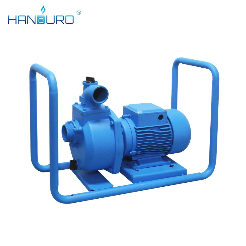Pompa Air DC Tenaga Surya Perm - Solar Water Pump ulasan dan harga